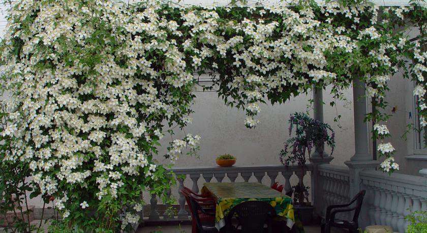 Гостиница Alexandriya Guest House Севастополь